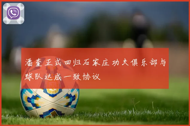 潘奎正式回归石家庄功夫俱乐部与球队达成一致协议