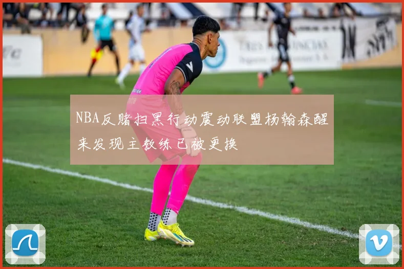 NBA反赌扫黑行动震动联盟杨翰森醒来发现主教练已被更换